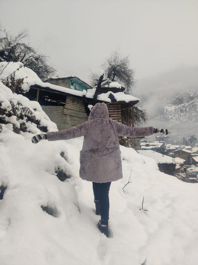 Last Stop Riverside Wooden Huts, Camps & Dorms Manali  Exterior photo