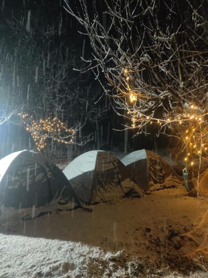 Last Stop Riverside Wooden Huts, Camps & Dorms Manali  Exterior photo